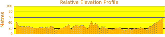 Narrabeen Lake Southern Shore Elevation Profile